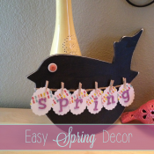 spring bird