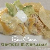 Sour Cream Enchiladas