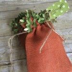 carrot bags