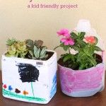 Use recycled plastic containers to make fun planters with the kids #succulents #spring #planter #kidcraft