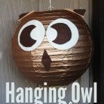 hanging owl