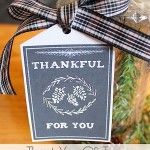Thankful for You gift tag cover iGottaCreate