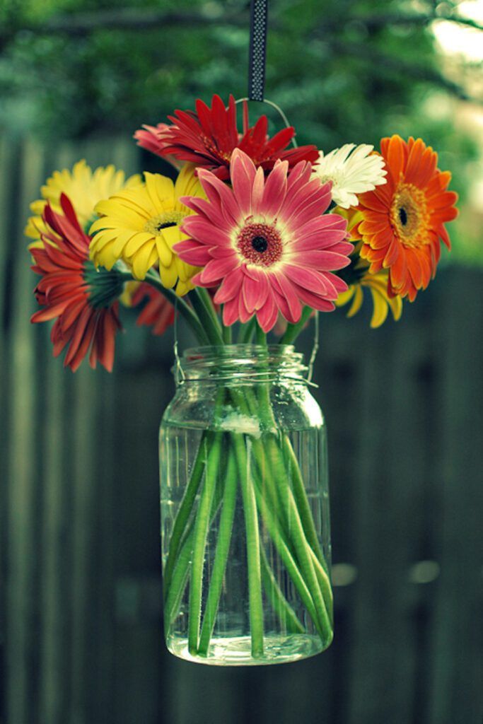 Mason Jar Hanging Flowers