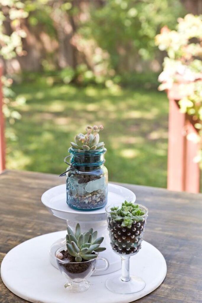 Succulent Table Centerpieces