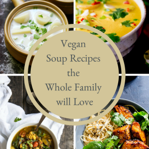 Vegan Soup Recipes the Whole Family will Love