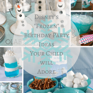 Frozen Themed Birthday Party Ideas