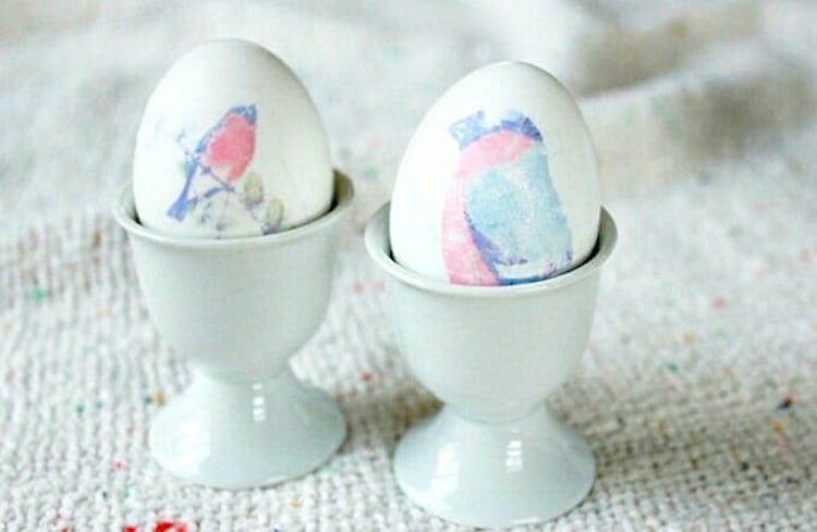 Image Transfer Eggs