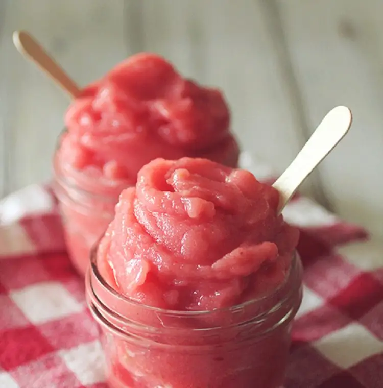 Watermelon Sorbet -  A Really Quick 5 Minute Snack