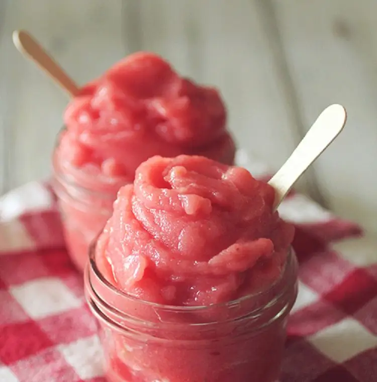 Watermelon Sorbet - A Really Quick 5 Minute Snack