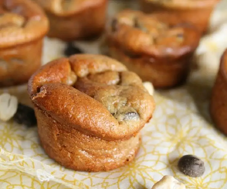 paleo 5-minute muffins high-protein grain-free sugar-free