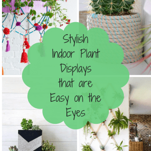 Stylish Indoor Plant Displays that are Easy on the Eyes