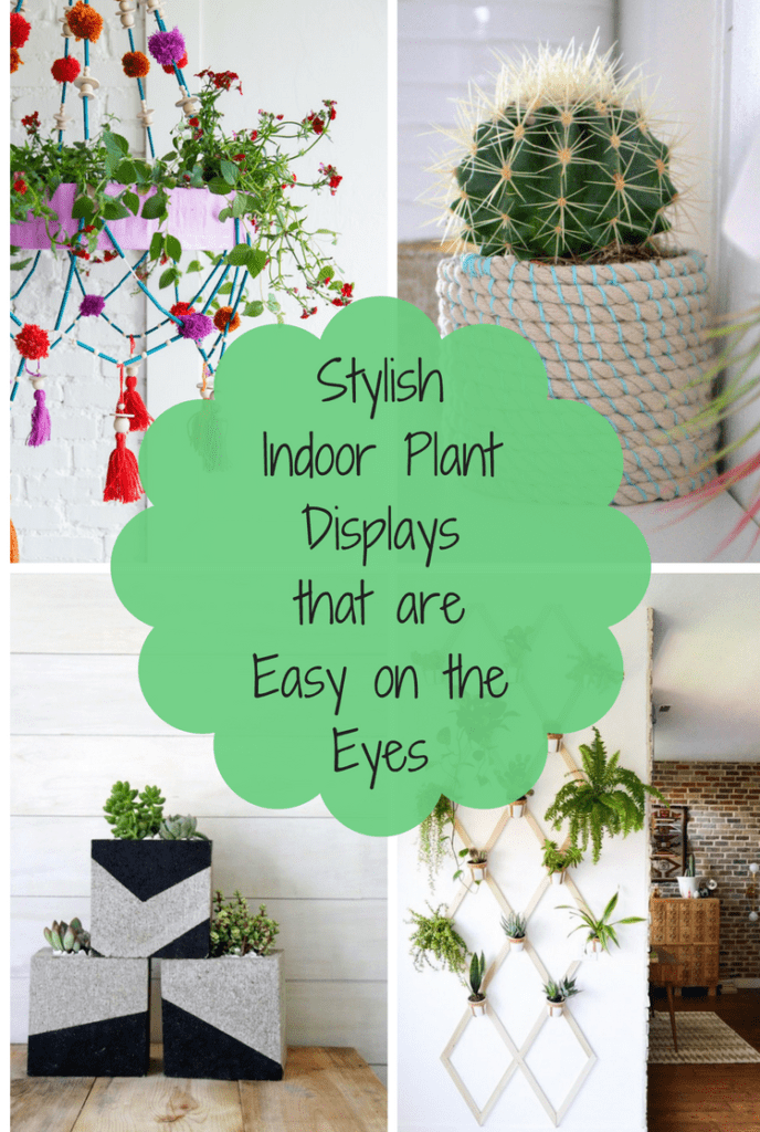 Stylish Indoor Plant Displays that are Easy on the Eyes