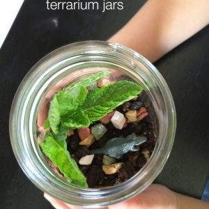 dino terrarium