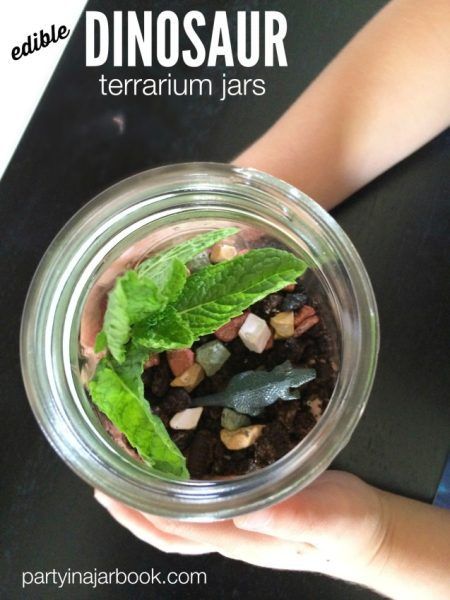 dino terrarium