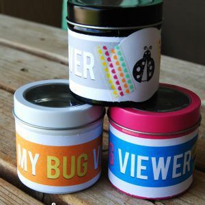 mini bug viewers