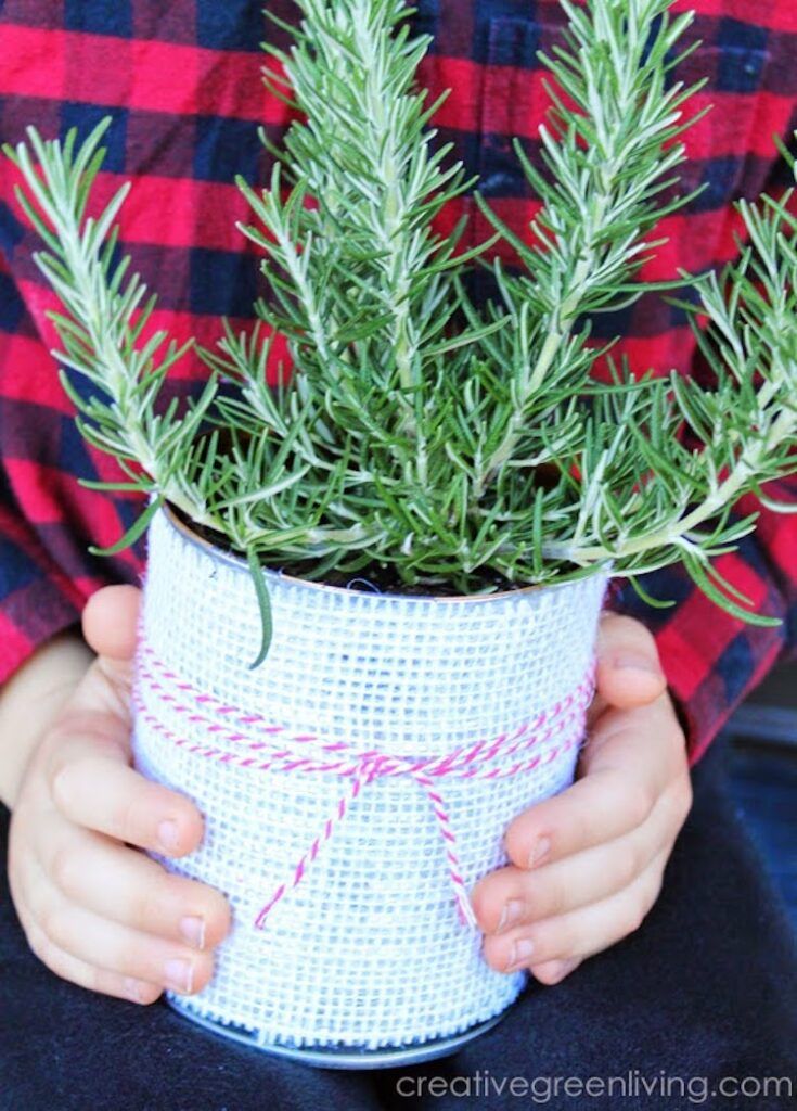 Decorative Tin Can Planter