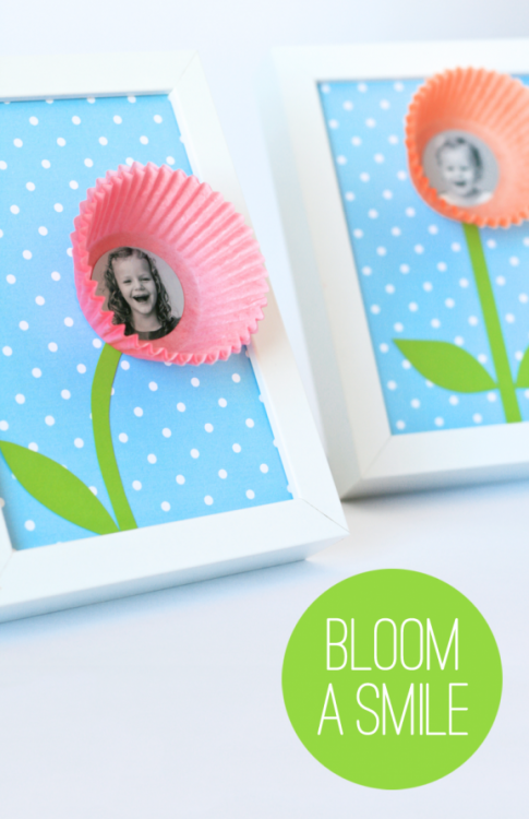 Bloom-A-Smile-578x893