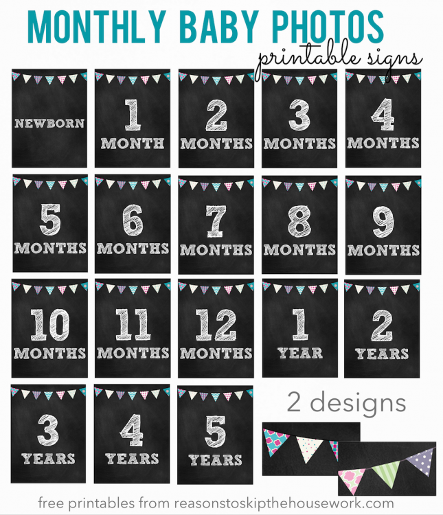 monthly baby photo signs