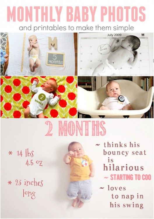 monthly baby photos