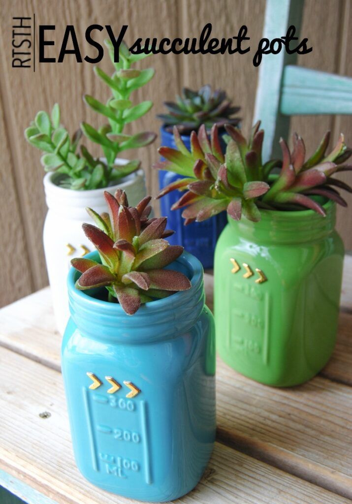 succulent pots