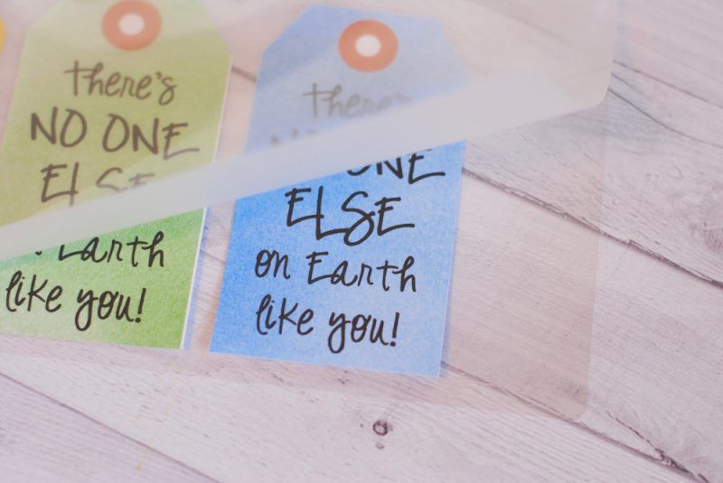 Backpack Tags – REASONS TO SKIP THE HOUSEWORK