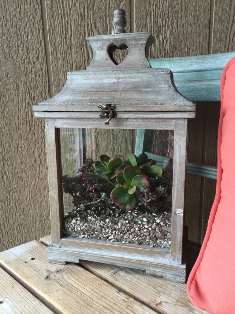How to Make a Homemade Succulent Garden StepbyStep Tutorial