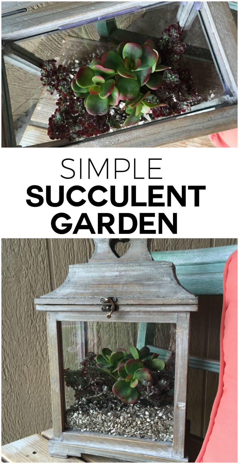 How to Make Your Own Succulent Garden – REASONS TO SKIP THE HOUSEWORK