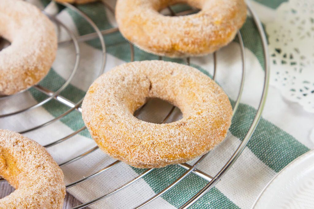 These Pumpkin Apple Sugar Doughnuts are baked, not fried and jam packed with pumpkin and freshly grated apple. Rolled in cinnamon sugar to finish them off, these are simply sublime!