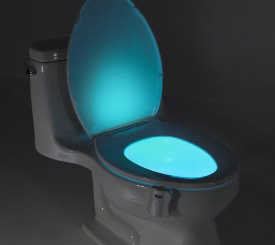 Motion activated toilet nightlight