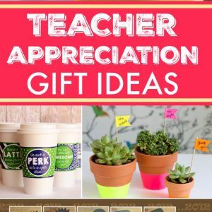 Teacher Appreciation Gifts