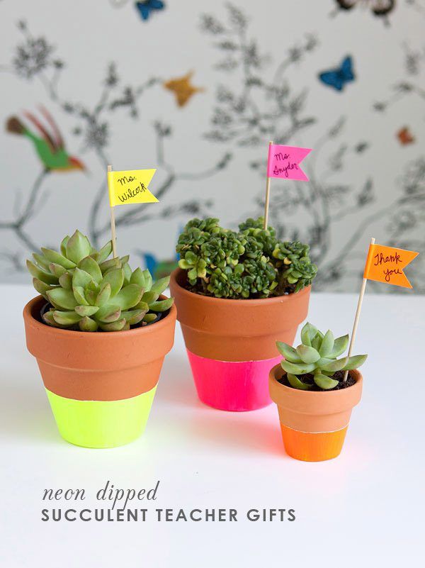 Succulent Pots