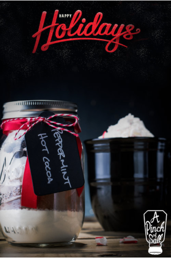 Pumpkin flavors may dominate Fall, but Peppermint rules the holiday world! Here are 10 Peppermint Drinks that are sure to warm you up and get you in the Christmas spirit!