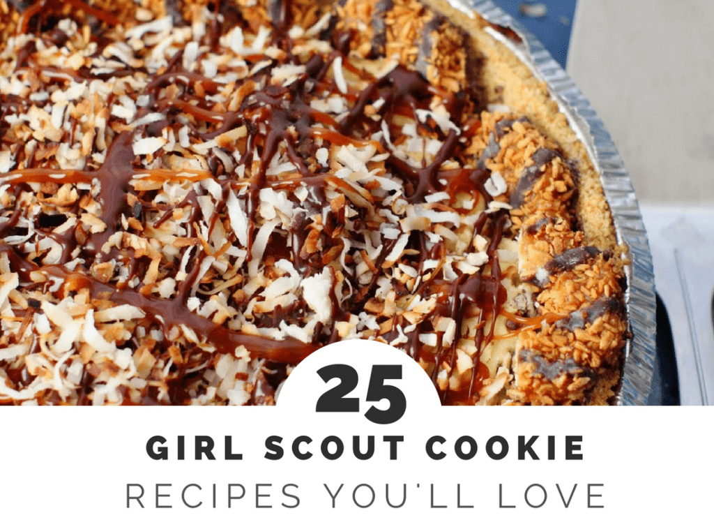 Recipes using Girl Scout Cookies REASONS TO SKIP THE HOUSEWORK