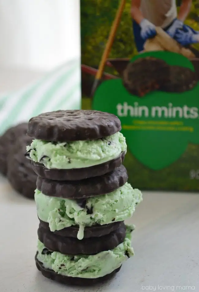 You can never have enough Recipes using Girl Scout Cookies and you'll want to try one of these yummy treats made with your favorite cookie!