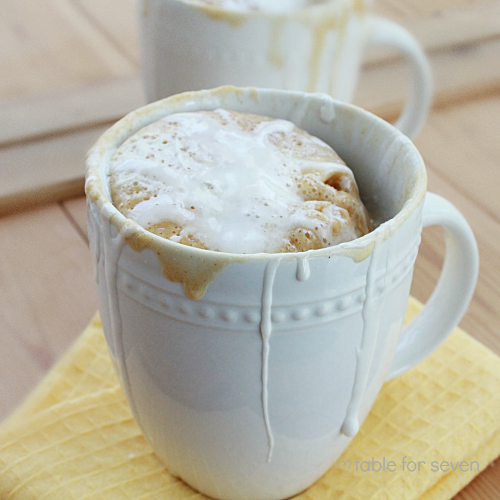 These 10 Mug Cakes will have you running to your microwave tonight!