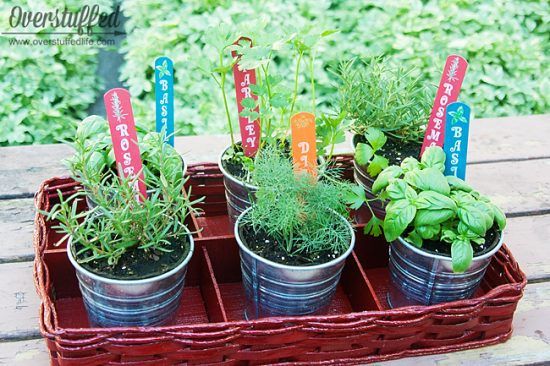 herb gardens are simple for all spaces