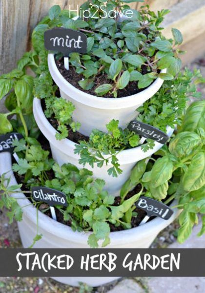 herb gardens are simple for all spaces