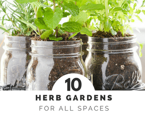 herb gardens are simple for all spaces