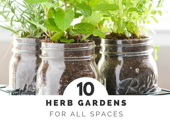 herb gardens are simple for all spaces