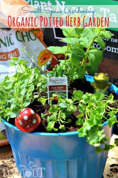 herb gardens are simple for all spaces