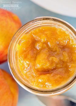 I love this time of year when the fruit is all fresh and sweet and local! It makes baking so much more rewarding! Here are 10 Delicious Peach Recipes you can (and should!) try this season!