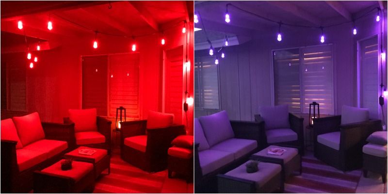 Purple and Red Enbrighten Seasons Color Changing Café Lights