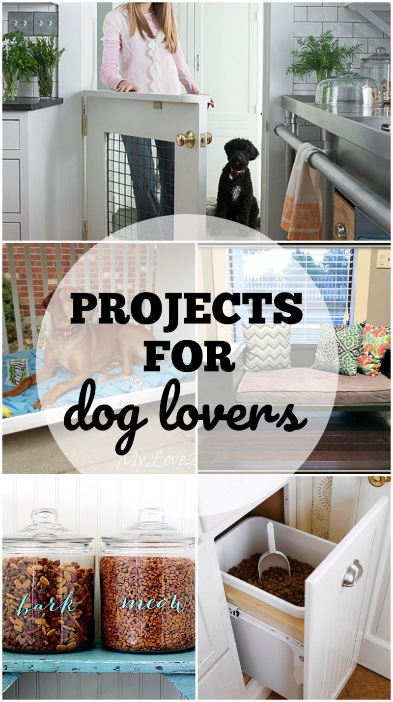 Projects for Dog Lovers - easy to make and less expensive than buying in the store!