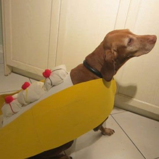 Banana Split Dog Costume