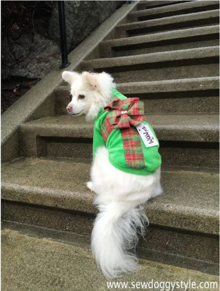 Ugly Christmas Sweater Costume