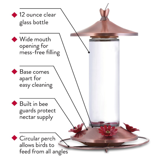 humming bird feeder infographics