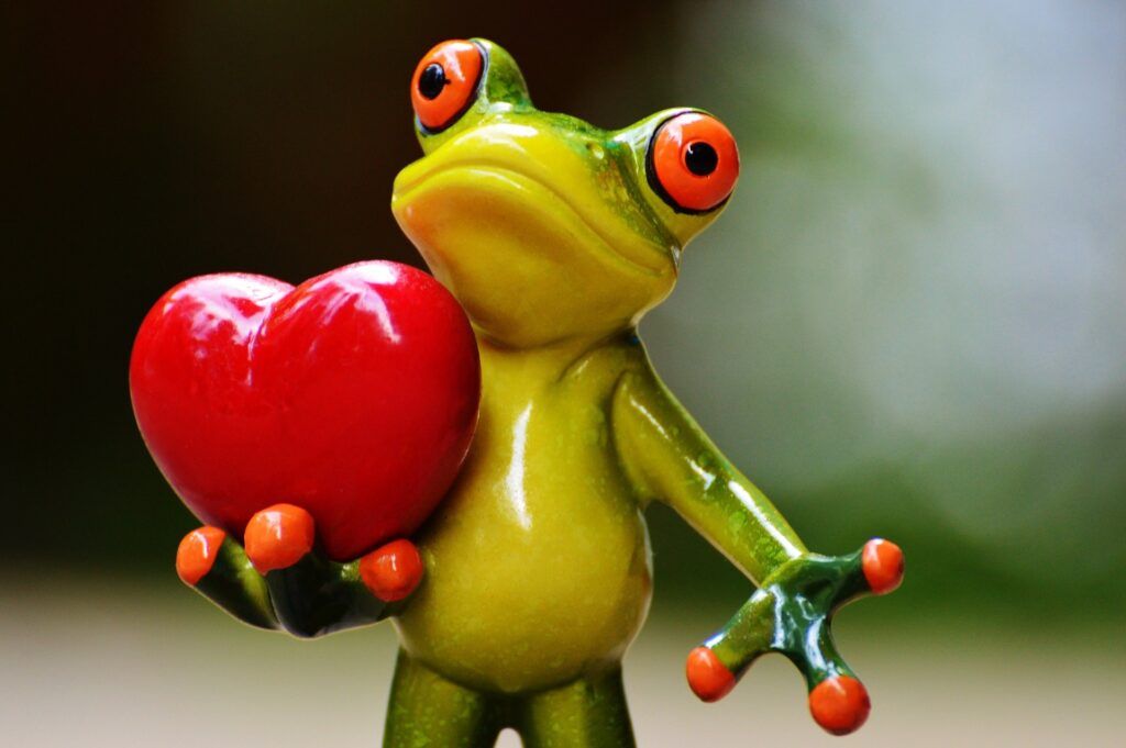 A Cute frog holding a heart