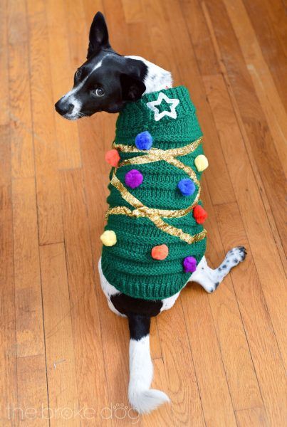 Christmas Tree Sweater for Your Furry Friend