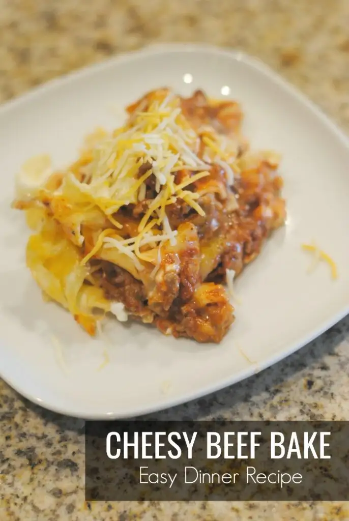 Alfredo Marinara Baked Ziti Recipe REASONS TO SKIP THE HOUSEWORK