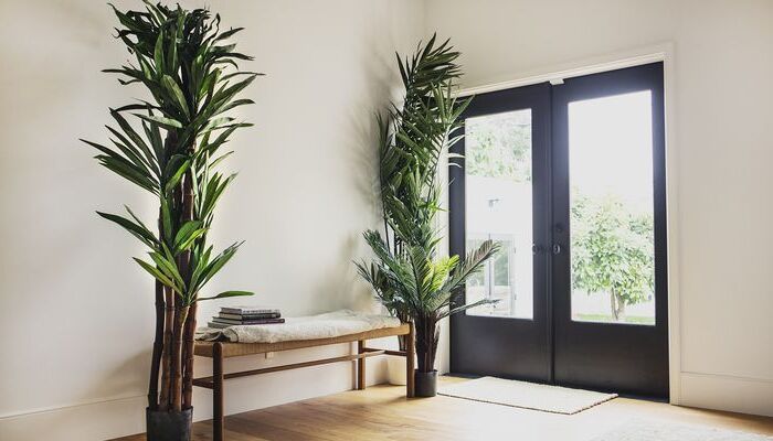 trees and a black door - Fitting Air Filter